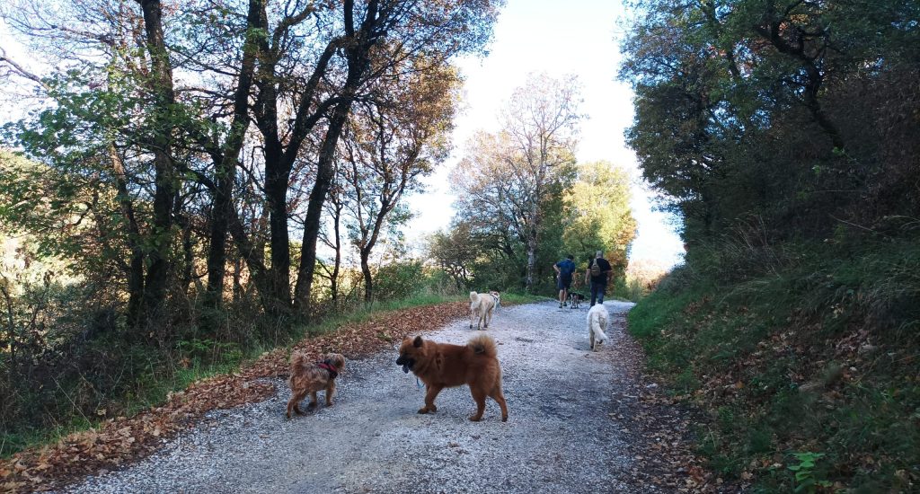 ballade-collectives-grenoble