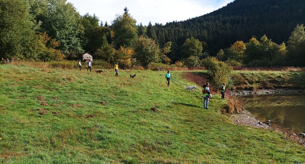 ballades-collectives-grenoble-chiens
